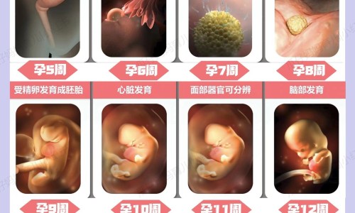 科丽蔓面膜系列和功效网-分享科丽蔓m22面膜安全吗，科丽蔓m22面膜安全吗知识库